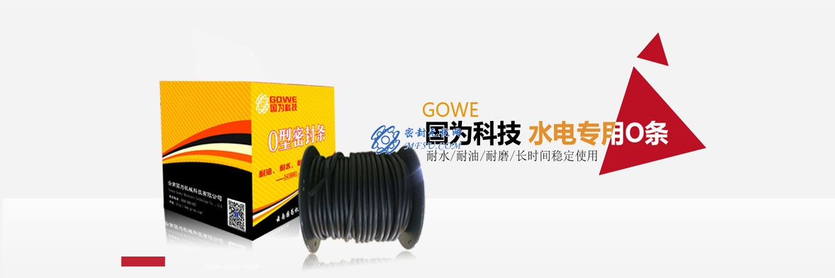 水輪機密封——電站用O條特點及要求
